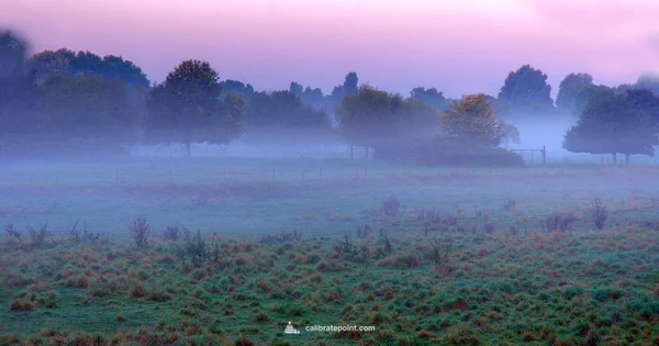 Weight Loss Calibration - Calibrate Point