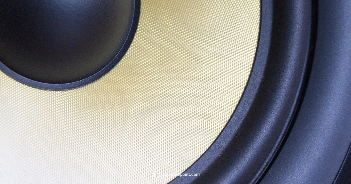 Calibrated Speaker Setup - Calibrate Point