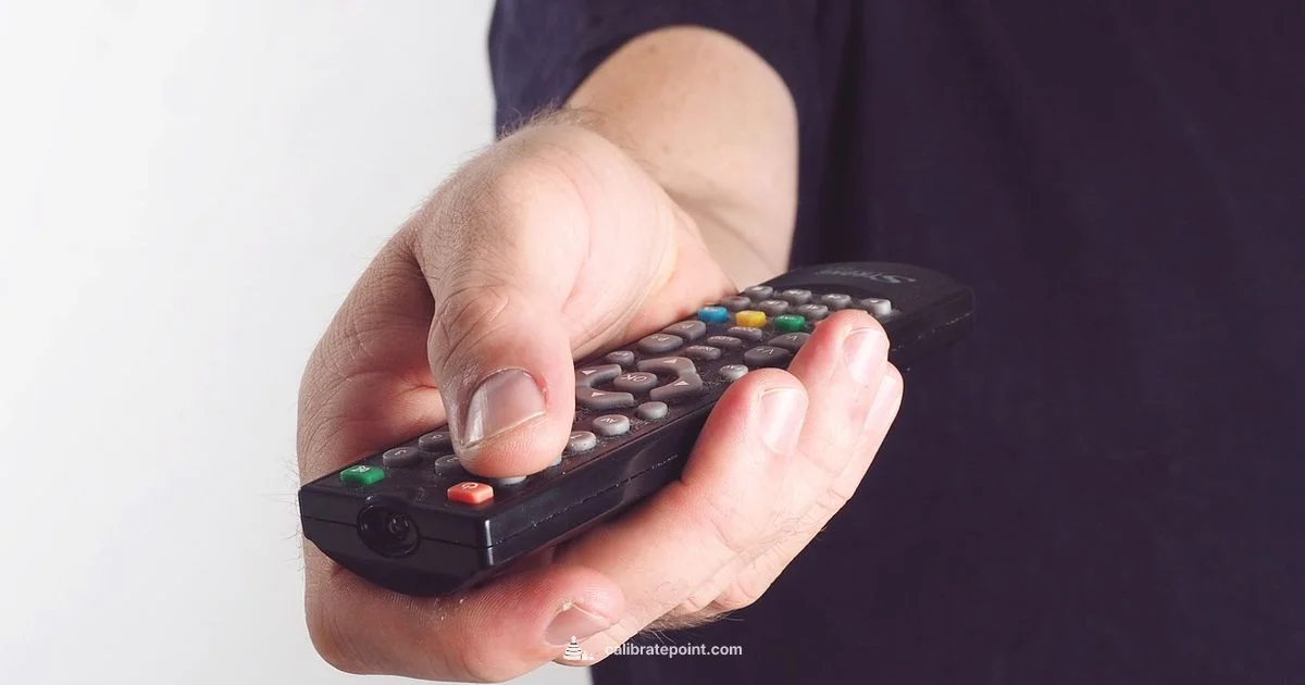 Calibrated TV Guide - Calibrate Point