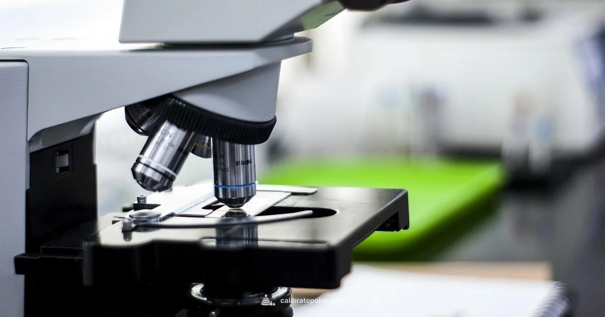 Understanding Calibration Meaning - Calibrate Point