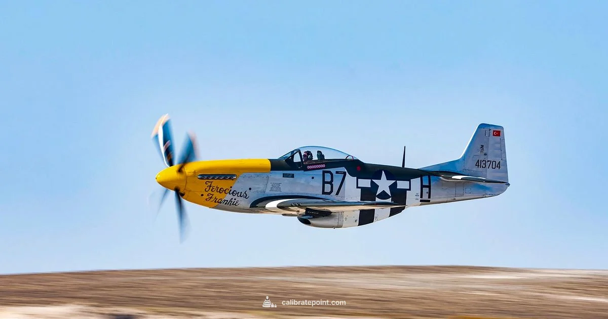 CAS Essentials - Calibrate Point