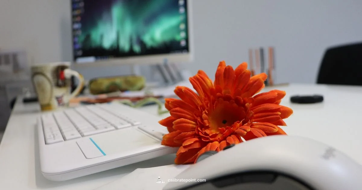 Monitor Color Calibration - Calibrate Point