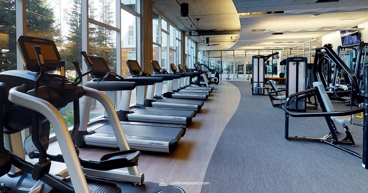 Speed Calibration - Calibrate Point