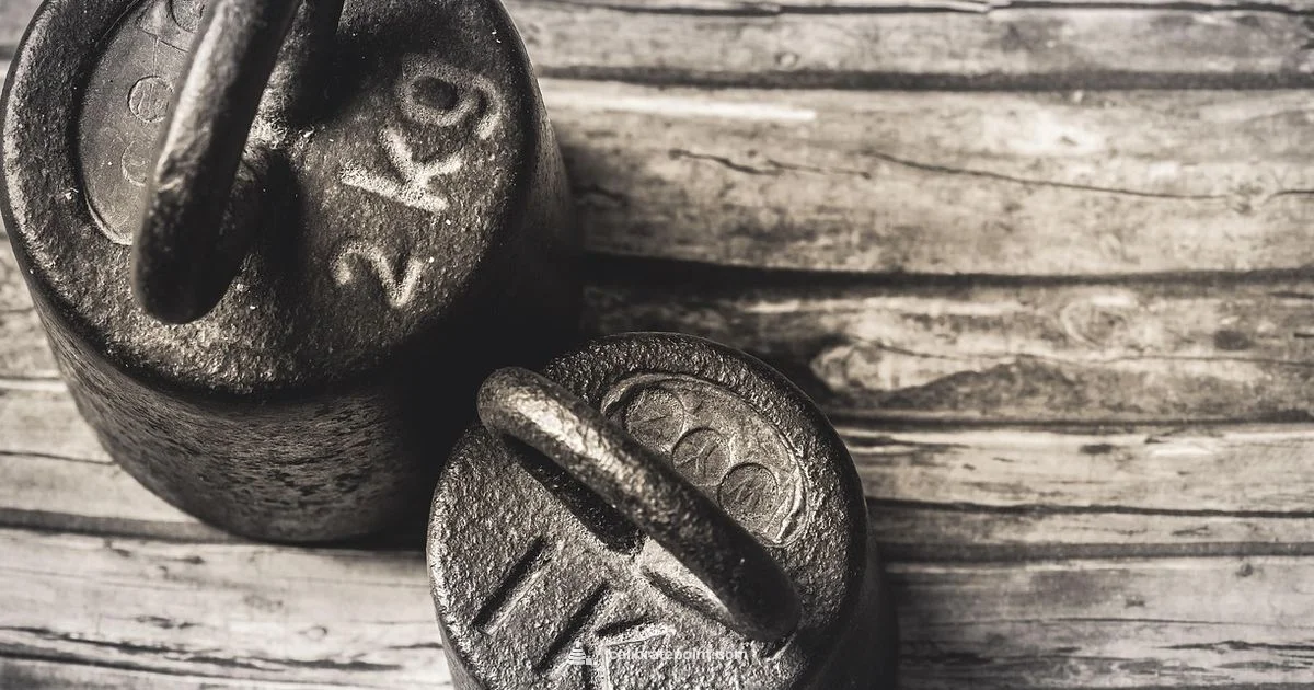 Calibrated Weights Guide Calibrated Weights Guide - Calibrate Point