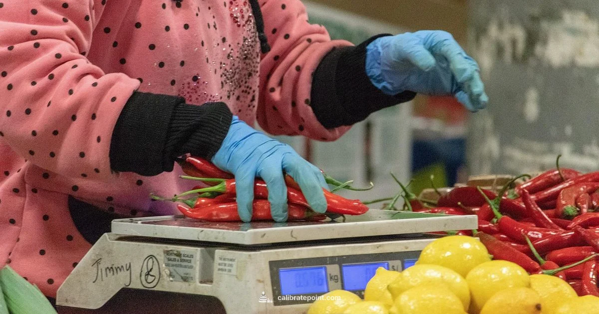 Scale Calibration Guide - Calibrate Point