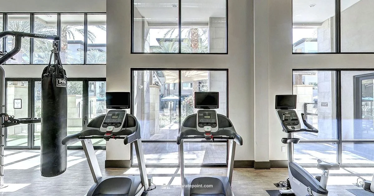 Treadmill Calibration - Calibrate Point