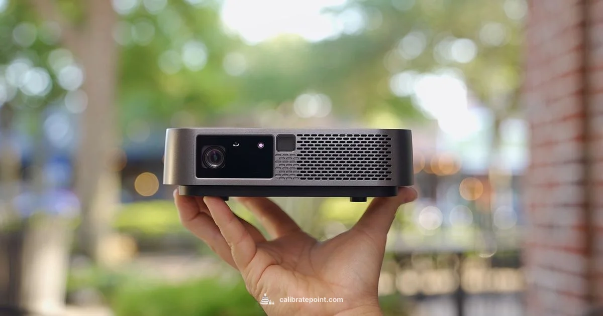 Calibrate Epson Projector - Calibrate Point