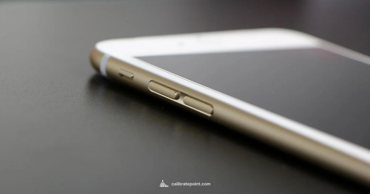 Calibrate Steps - Calibrate Point