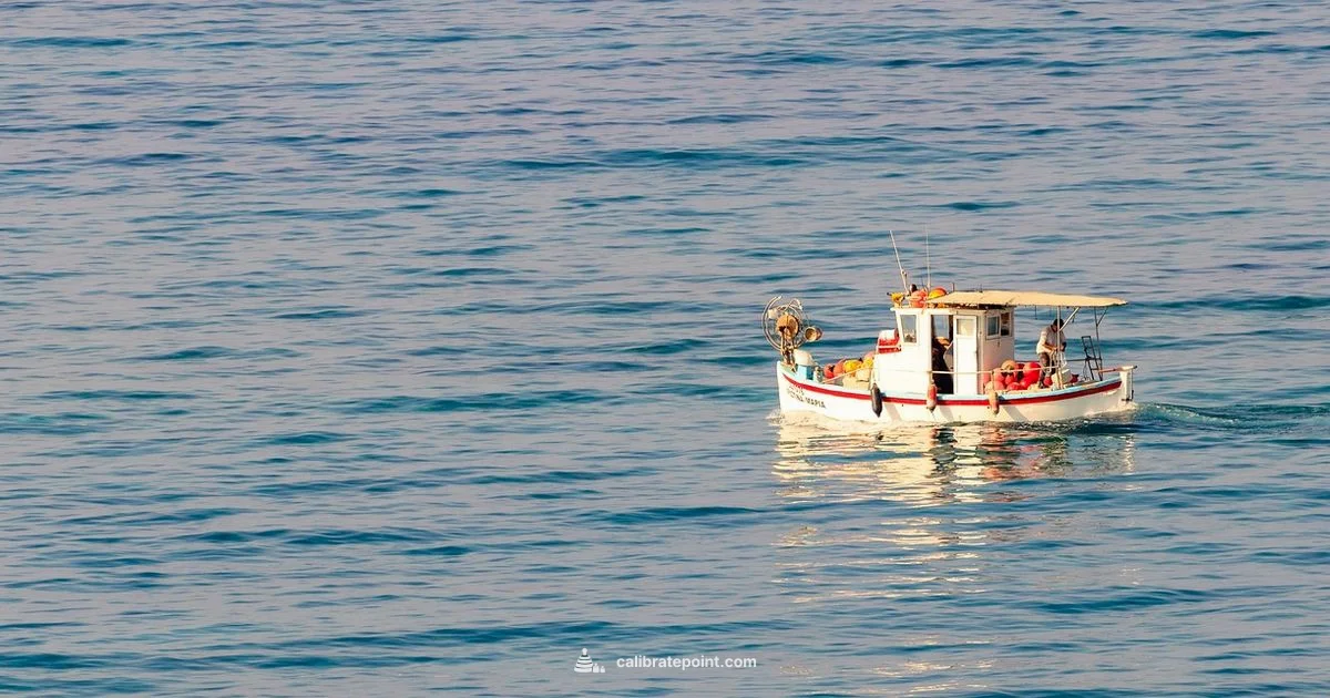 LiveScope Calibration - Calibrate Point