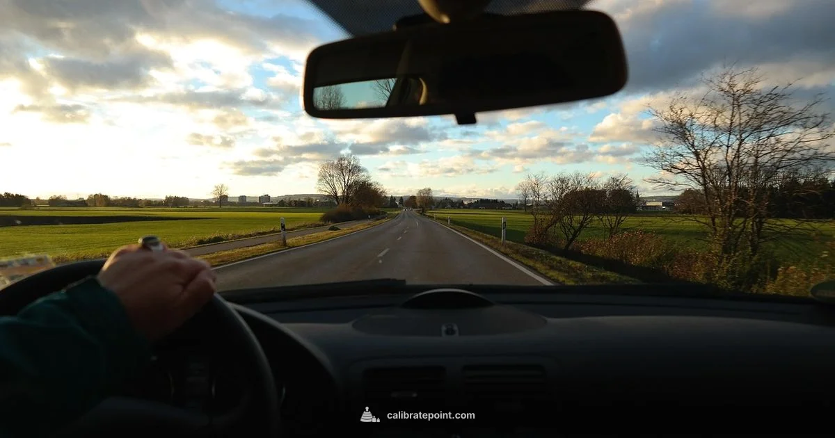 Vision Check - Calibrate Point