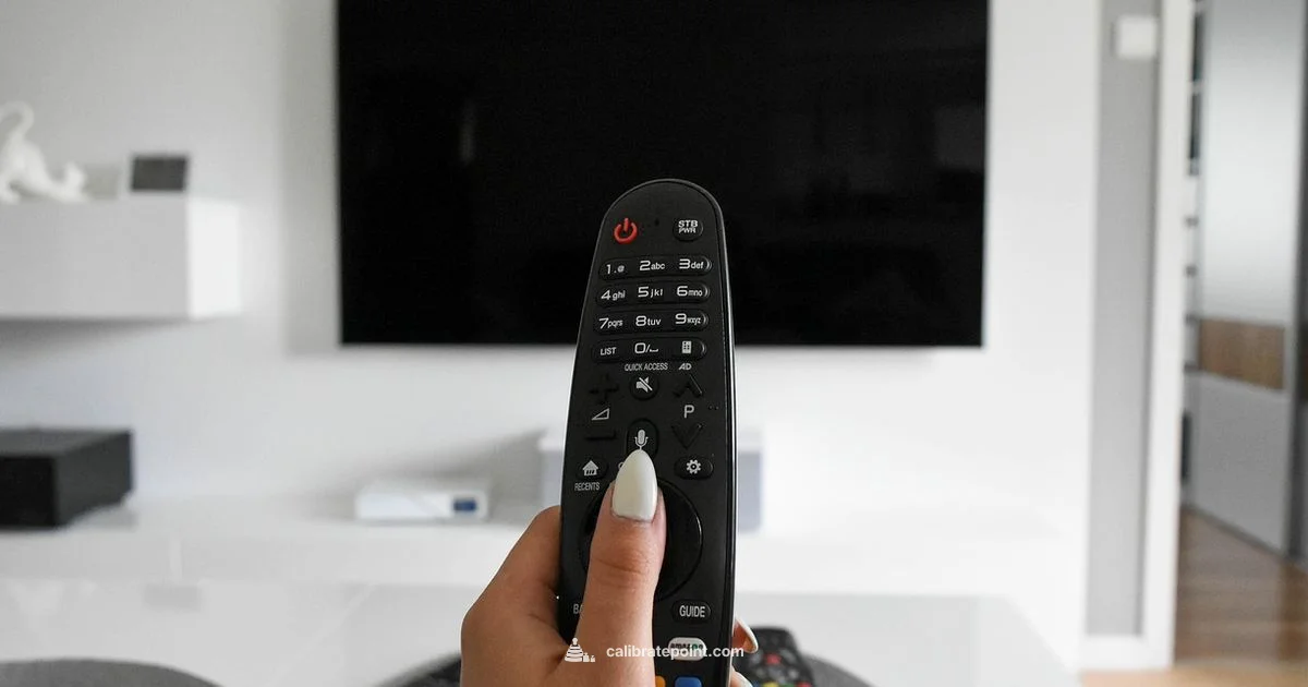 TV Calibration Basics - Calibrate Point