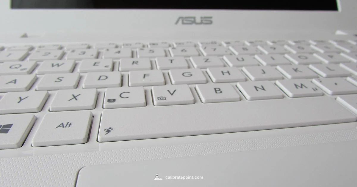 Calibrate ProArt Monitors - Calibrate Point