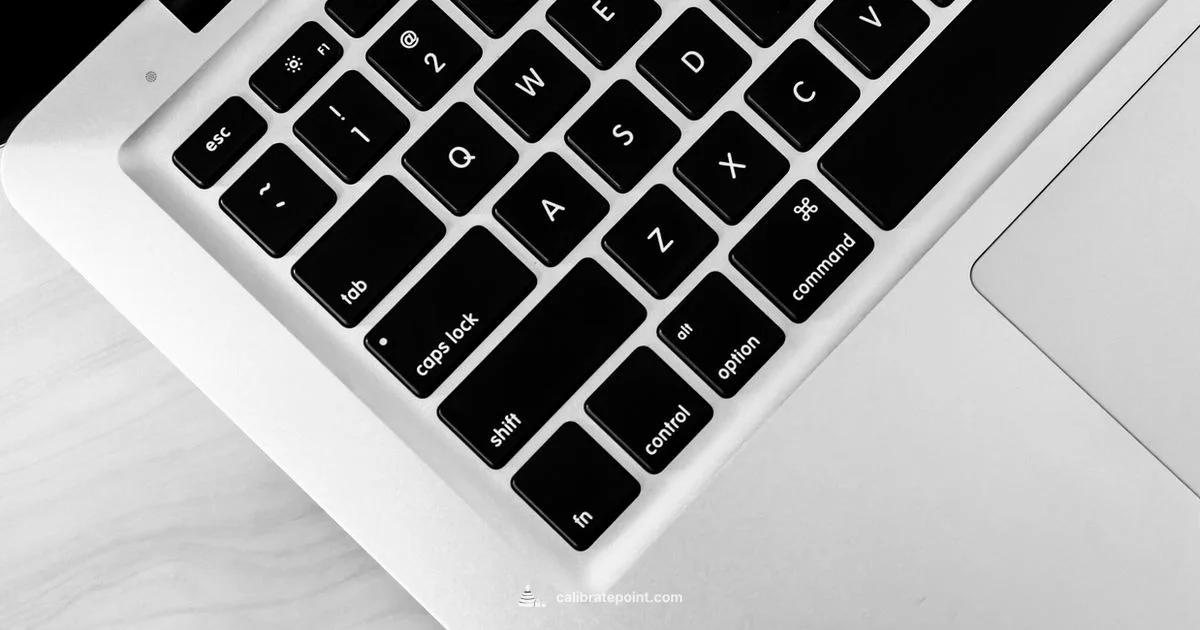 MacBook Pro Screen Calibration - Calibrate Point