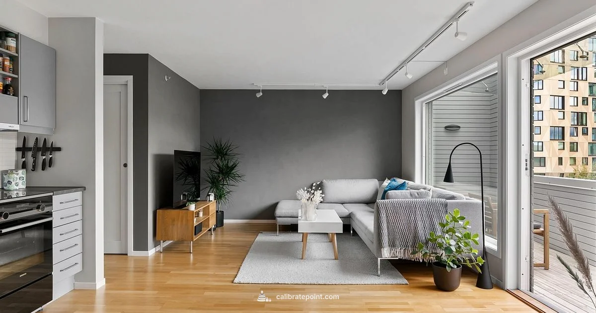 TV Calibration Guide TV Calibration Guide - Calibrate Point