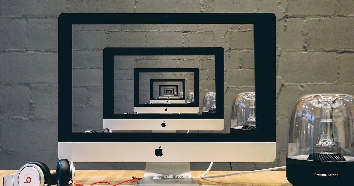 OLED Calibration Guide OLED Calibration Guide - Calibrate Point