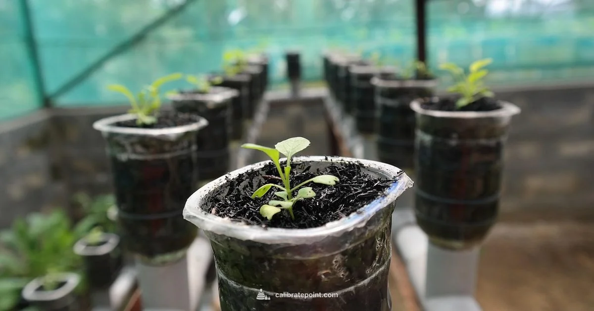 VIVOSUN pH Calibration VIVOSUN pH Calibration - Calibrate Point