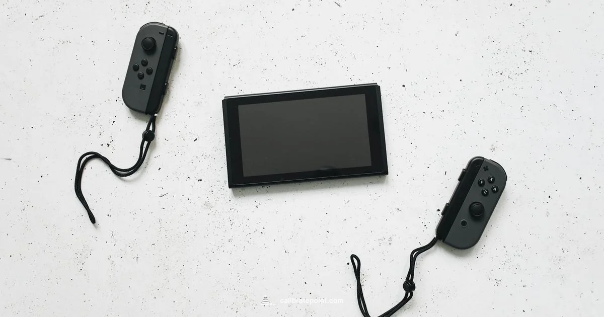 Calibrate Sticks - Calibrate Point