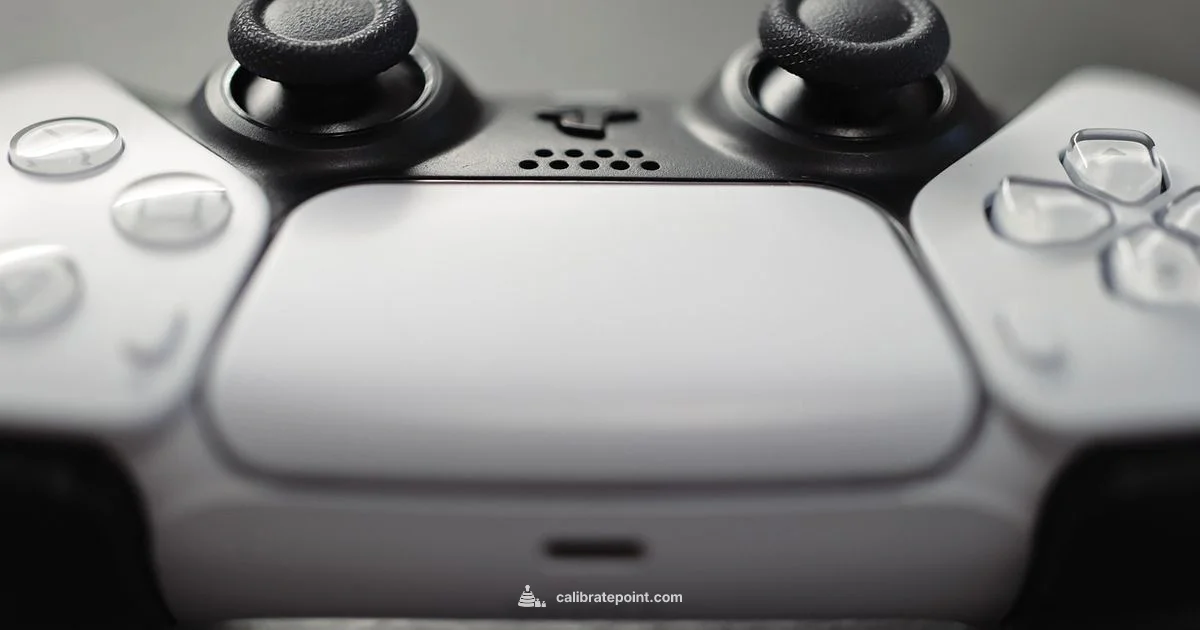 Calibrate PS5 Controller - Calibrate Point