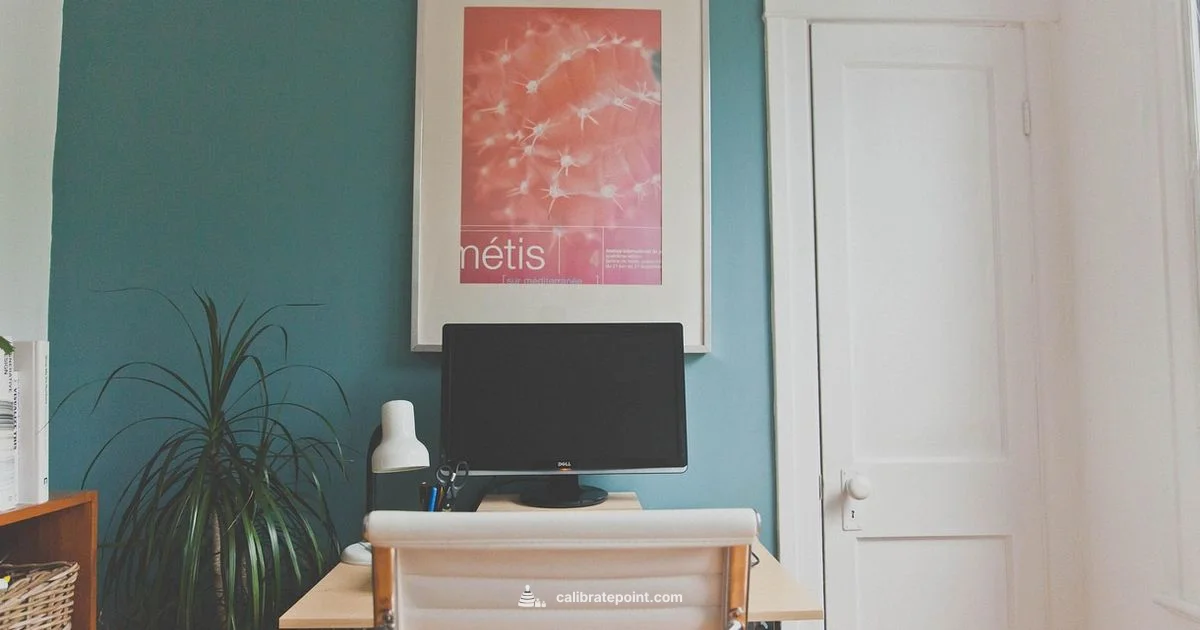 Monitor Calibration Guide - Calibrate Point