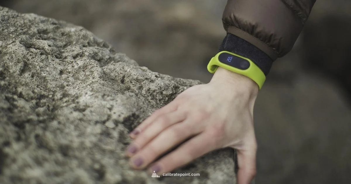 Calibrate Fitbit - Calibrate Point