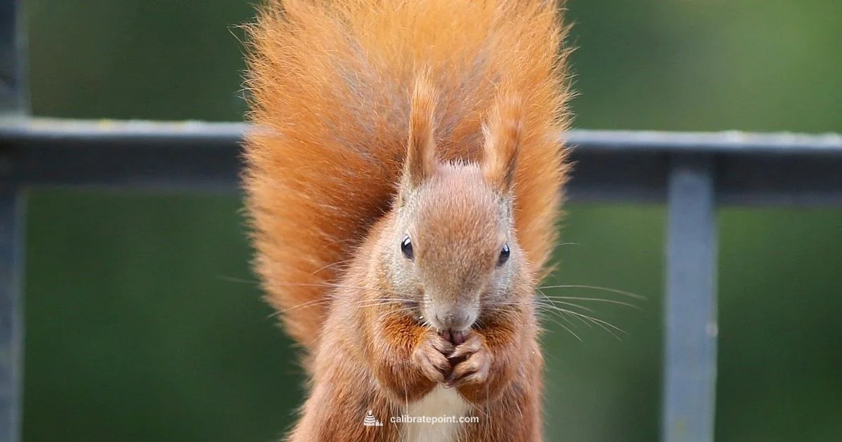 Calibration Guide - Calibrate Point