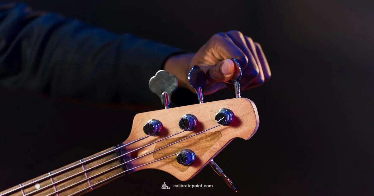 Bass Wheel Calibration - Calibrate Point