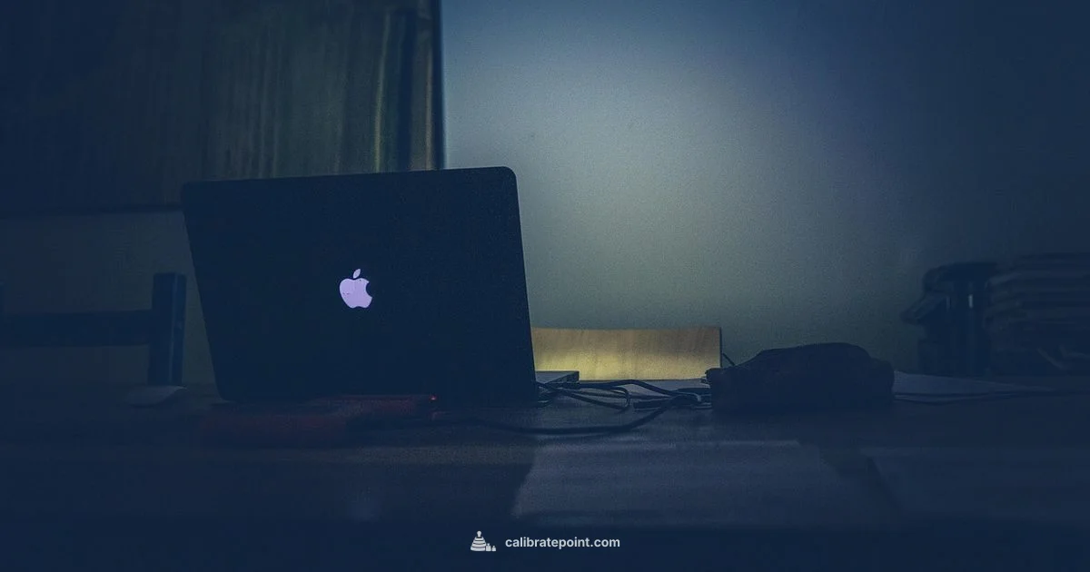 Elo Touch Calibration - Calibrate Point