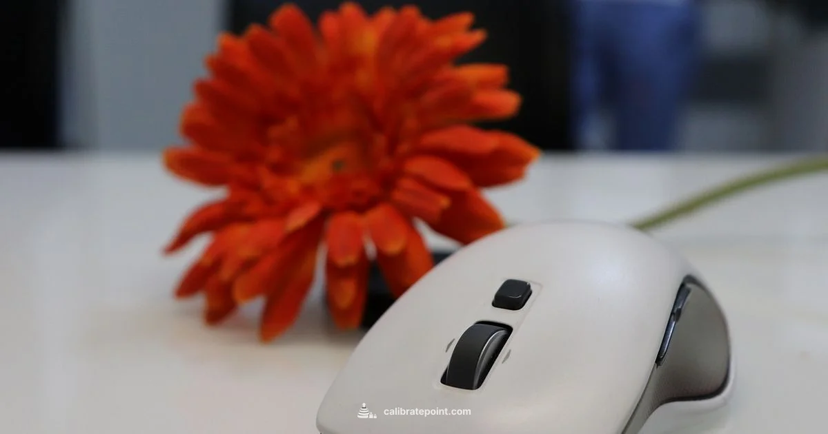 Calibrated Precision - Calibrate Point