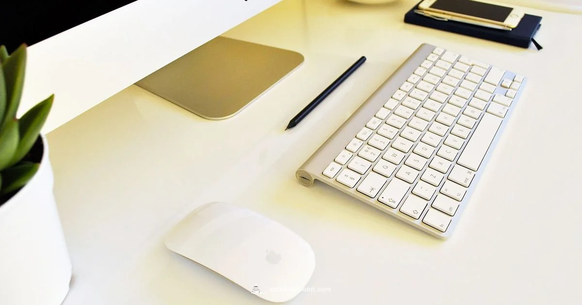 iPhone Color Calibration iPhone Color Calibration - Calibrate Point