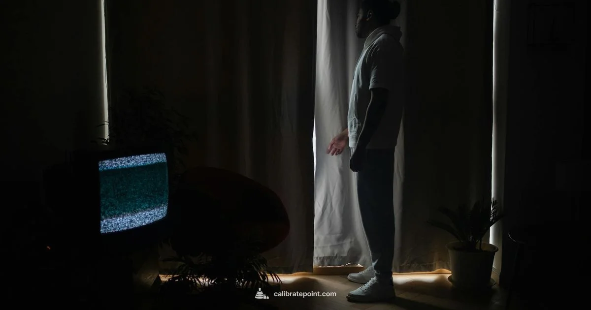 Bravia 7 Calibration - Calibrate Point