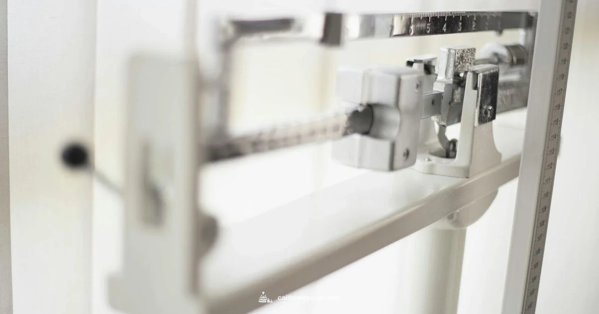 Withings Scale Calibration - Calibrate Point