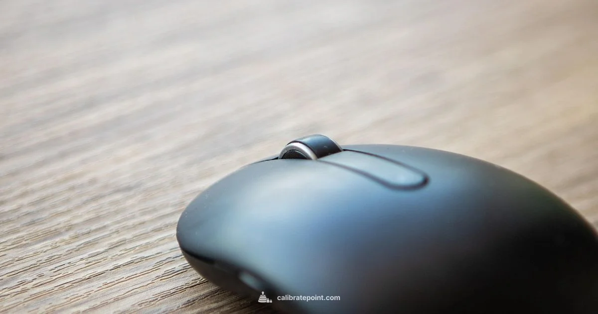 Mouse Calibration on Windows 11 - Calibrate Point