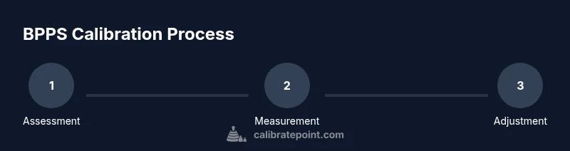 BPPS calibration process infographic